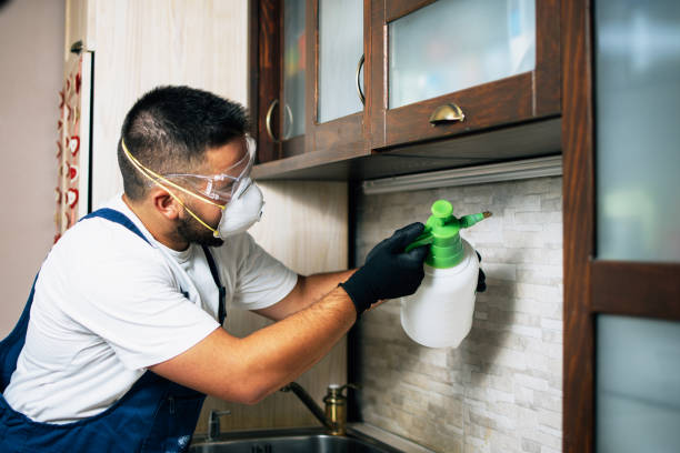 Pest Control for Restaurants in White Island Shores, MA