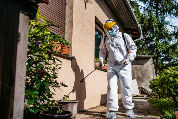 Best Emergency Pest Control  in White Island Shores, MA