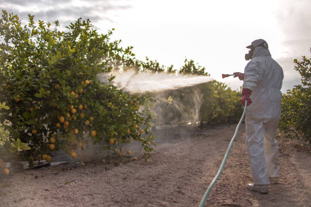  White Island Shores, MA Pest Control Pros