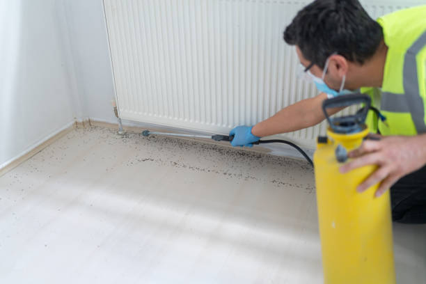 Best Pest Prevention Services  in White Island Shores, MA